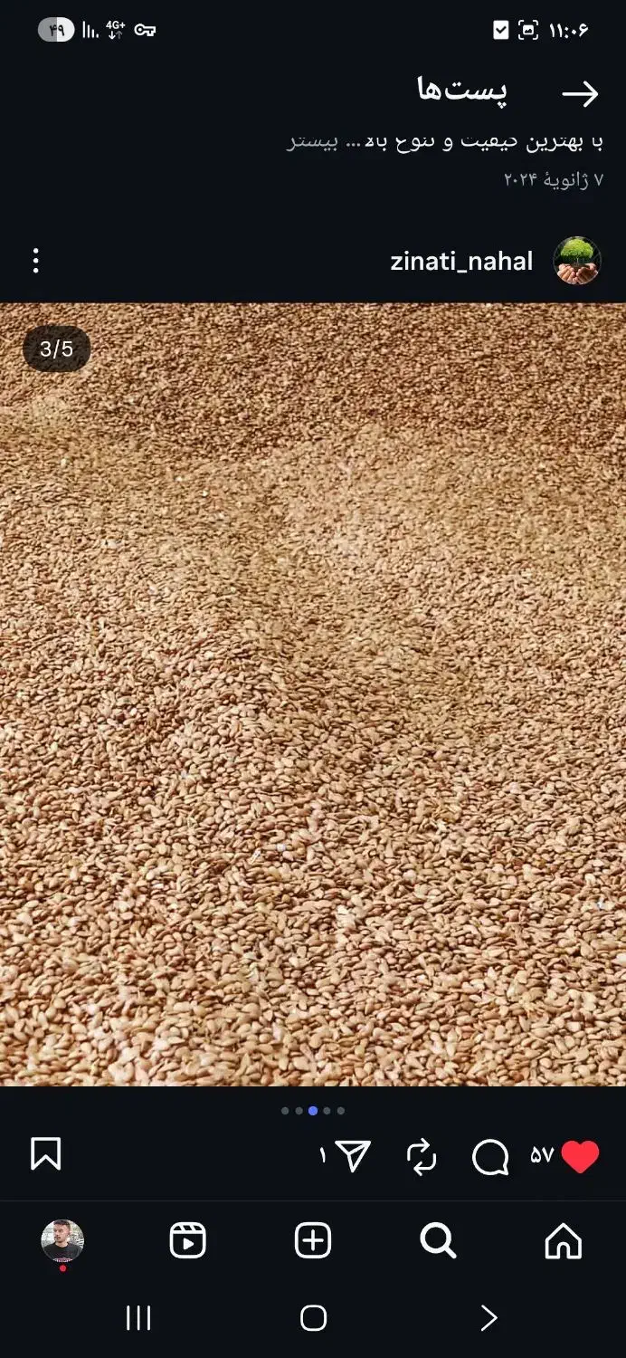 بذر سیب|حراج|مشهد, ابرغن|دیوار