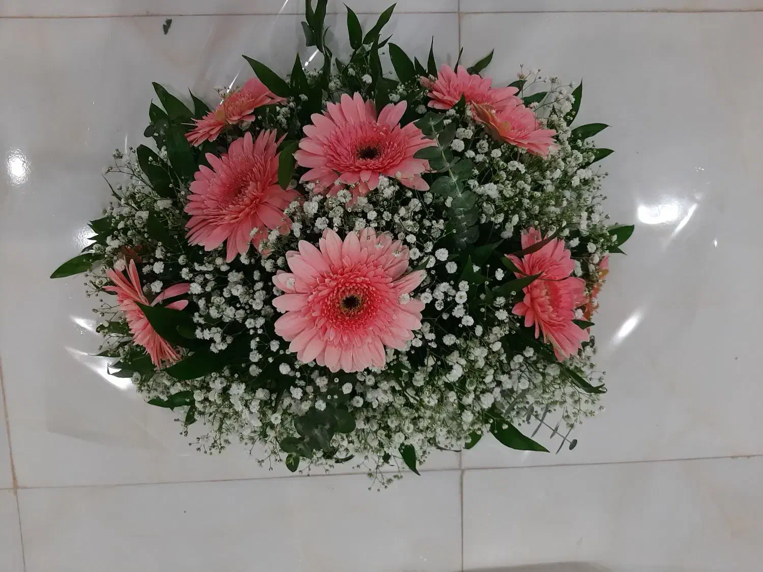 گل طبیعی|گل و گیاه طبیعی|رشت, عینک|دیوار