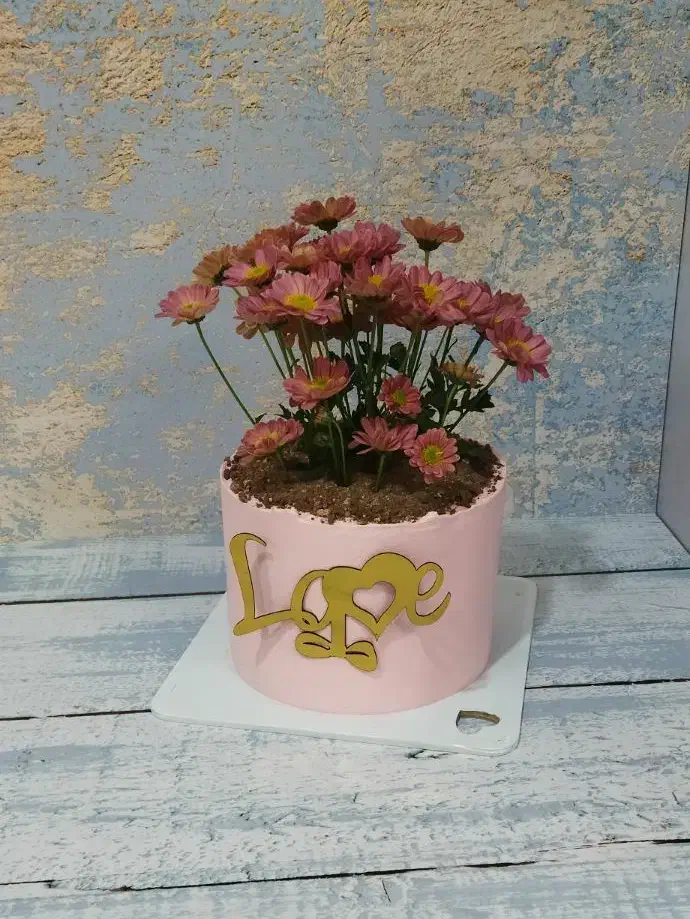 کیک چیچک ،تازه ،خوشمزه ،خونگی|خوردنی و آشامیدنی|قم, محمد آباد|دیوار