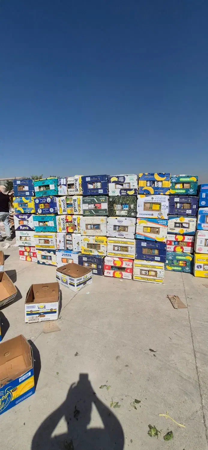 کارتن موزی|عمده‌فروشی|ری, صالح‌آباد شرقی|دیوار