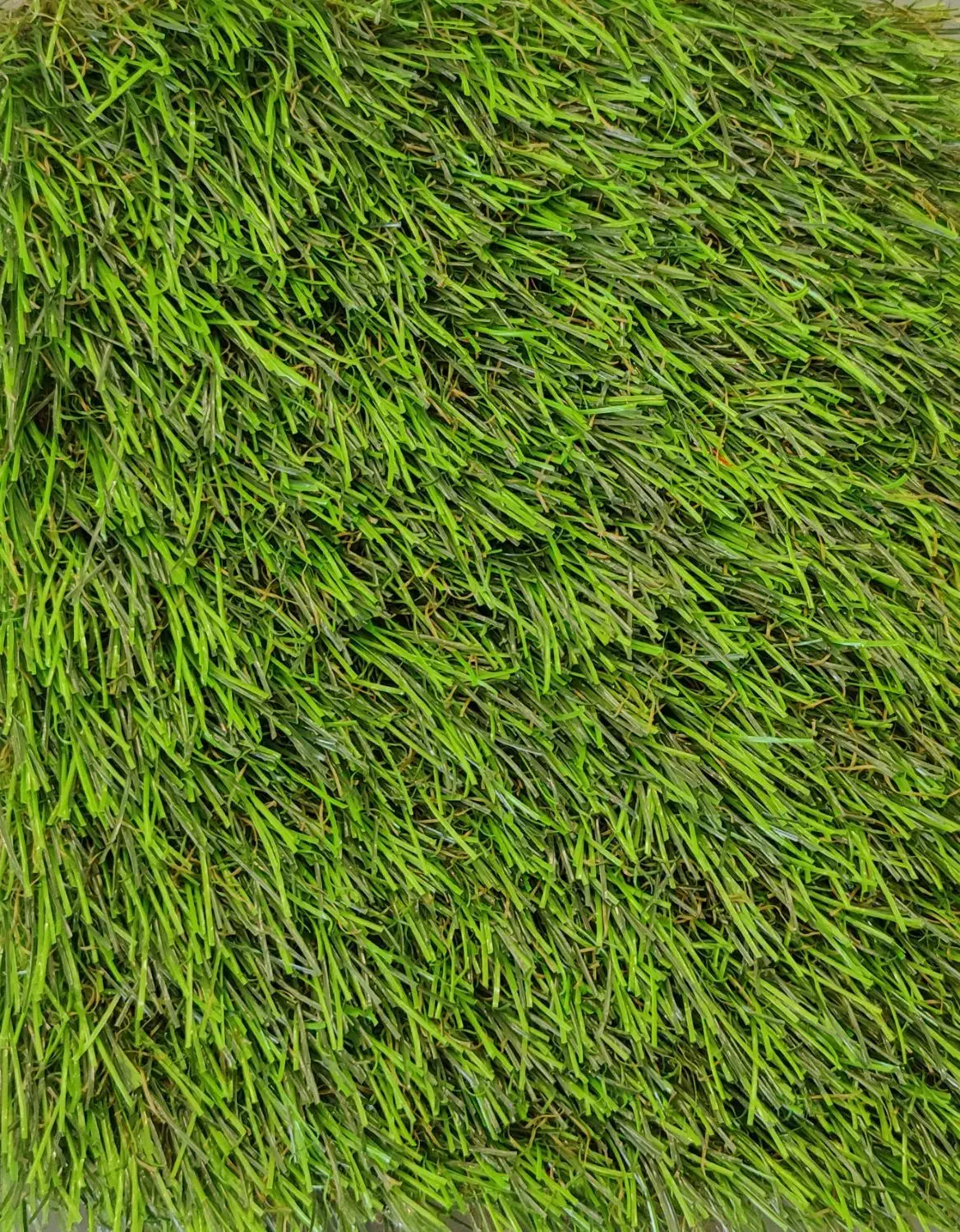 چمن مصنوعی رویال دو بافت پاییزه|عمده‌فروشی|اصفهان, تخت فولاد|دیوار