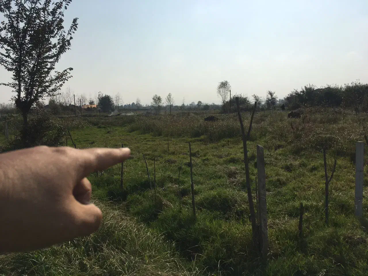 هزار مترزمین مسکونی نیازمالی شدید بشتابید|فروش زمین و ملک کلنگی|فومن, |دیوار