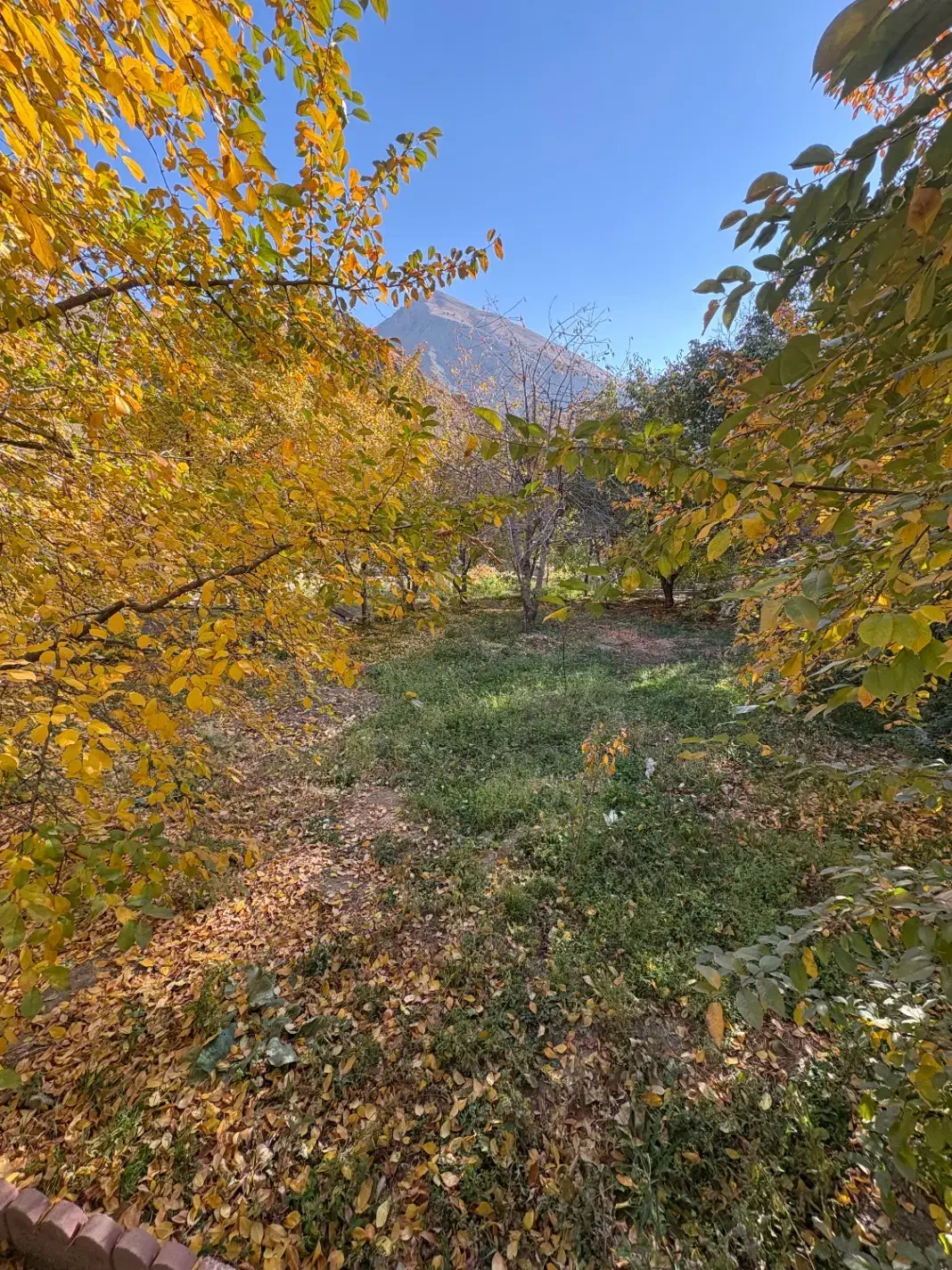 زمین کنار رودخانه مناسب ساخت ویلا|فروش زمین و ملک کلنگی|آسارا, |دیوار