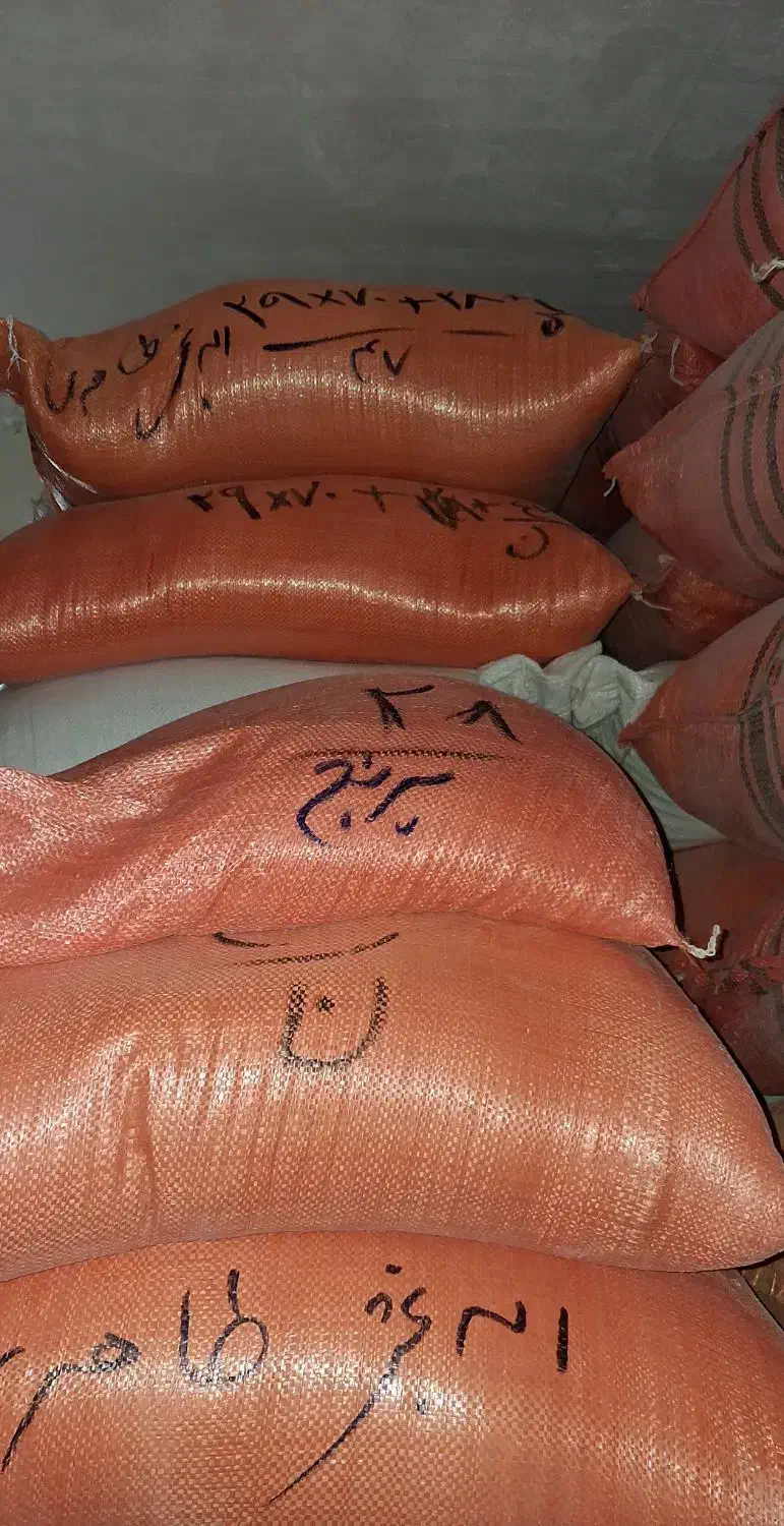 برنج هاشمی تک محصول|عمدهفروشی|رشت, فرودگاه سردار جنگل رشت|دیوار