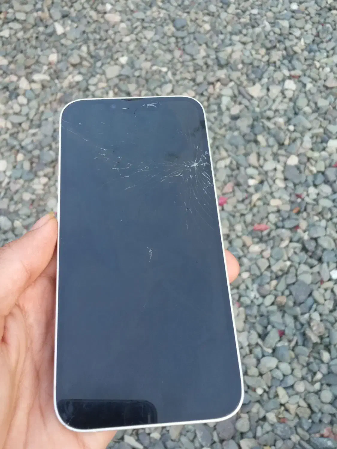 ایفون 13|موبایل|جیرفت, |دیوار