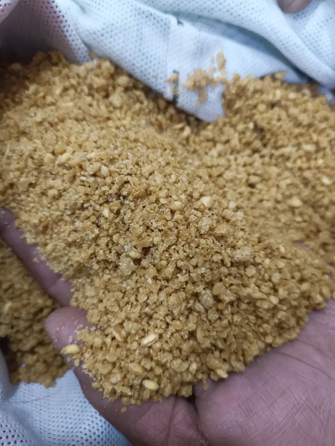 بلغور شیر|خوردنی و آشامیدنی|تایباد, |دیوار