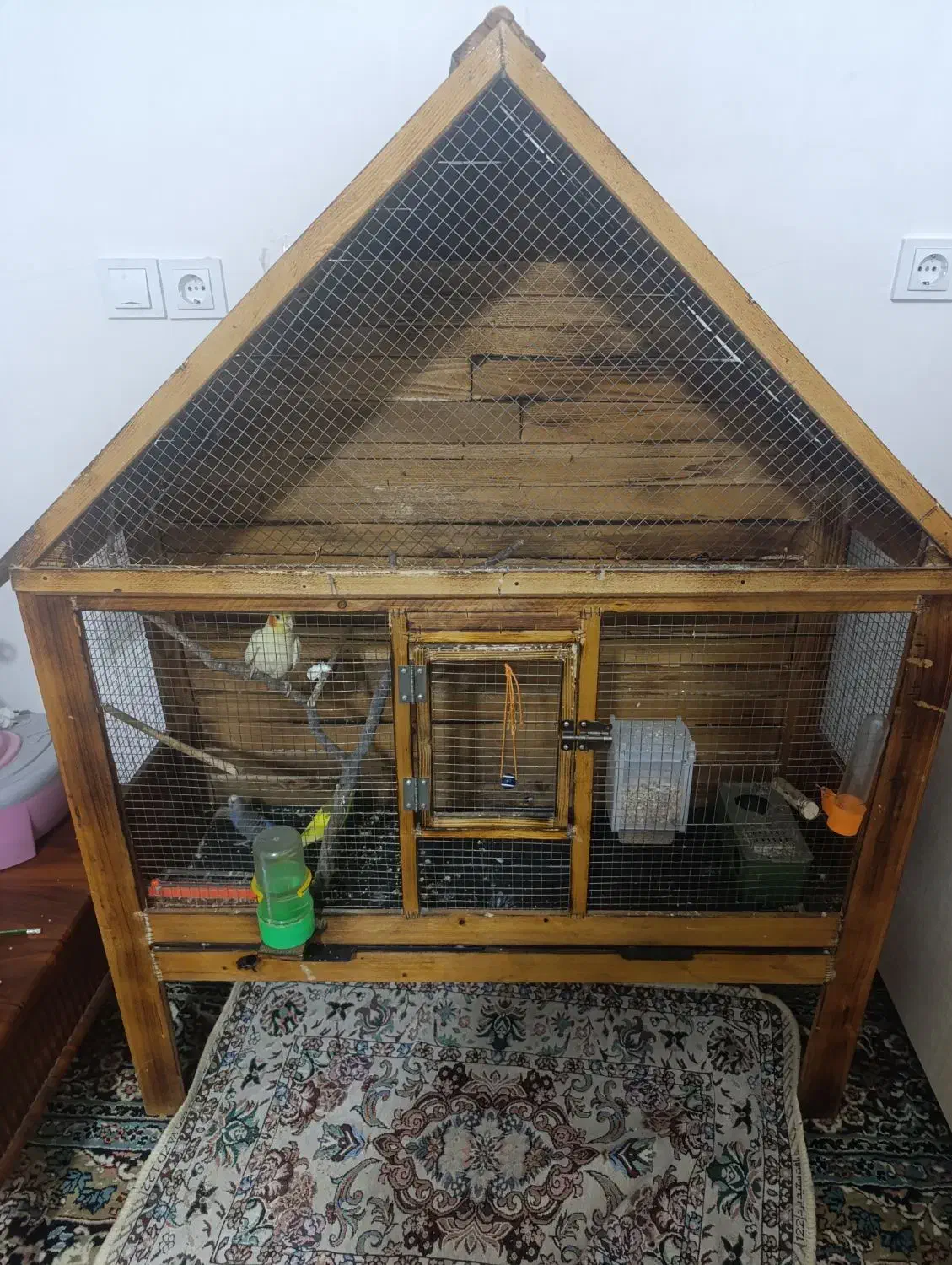 قفس چوبی|لوازم جانبی حیوانات|زرند, |دیوار