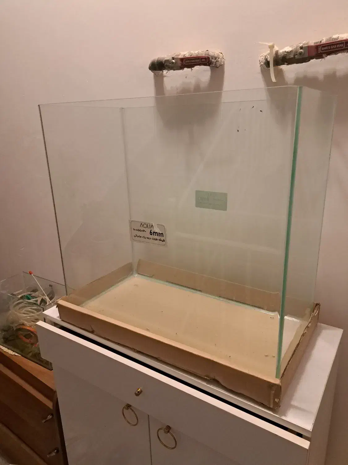 آکواریوم|ماهی|اسفراین, |دیوار