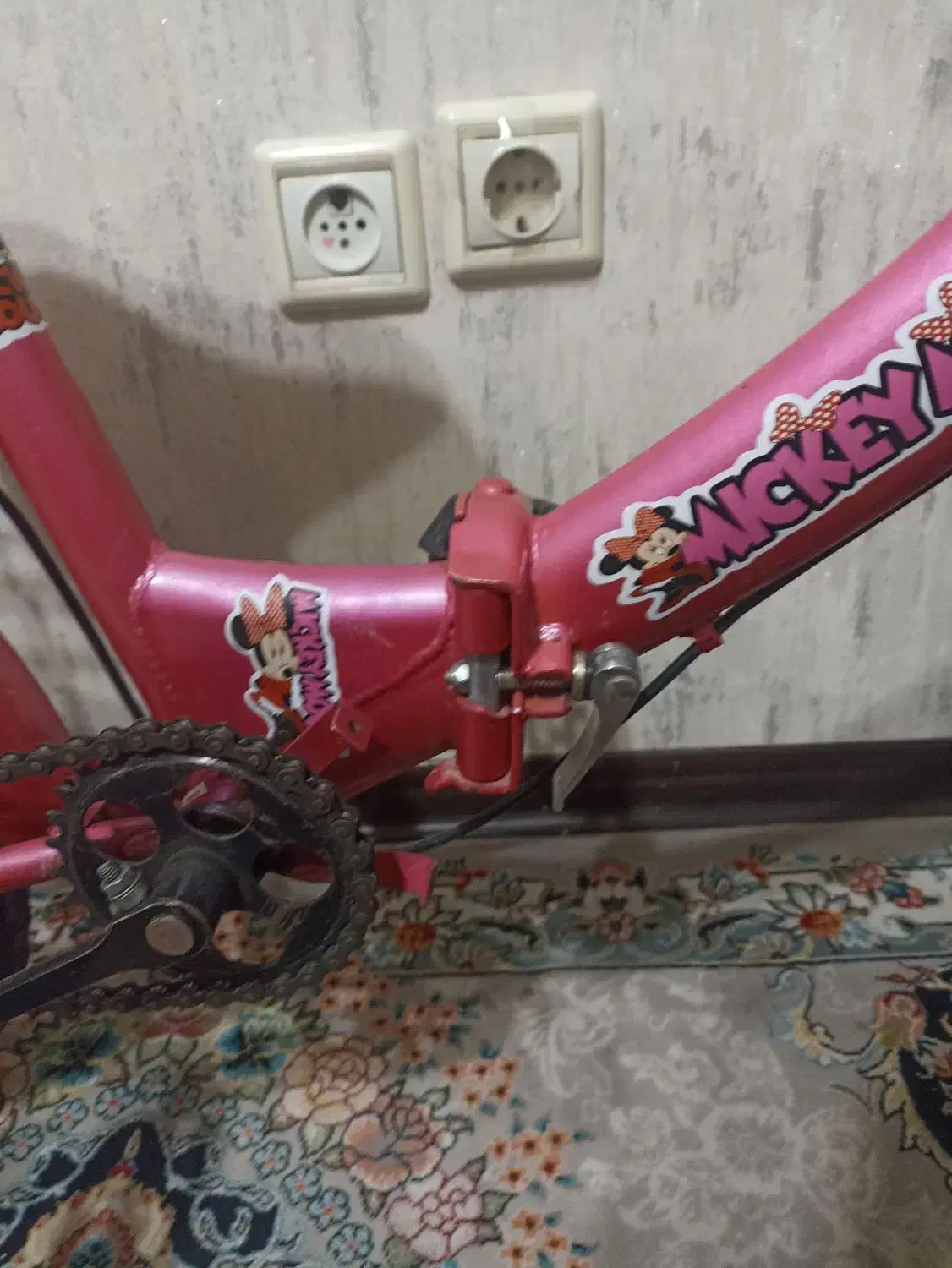 دوچرخه حرفه ای دخترانه|دوچرخه، اسکیت، اسکوتر|قم, پردیسان|دیوار