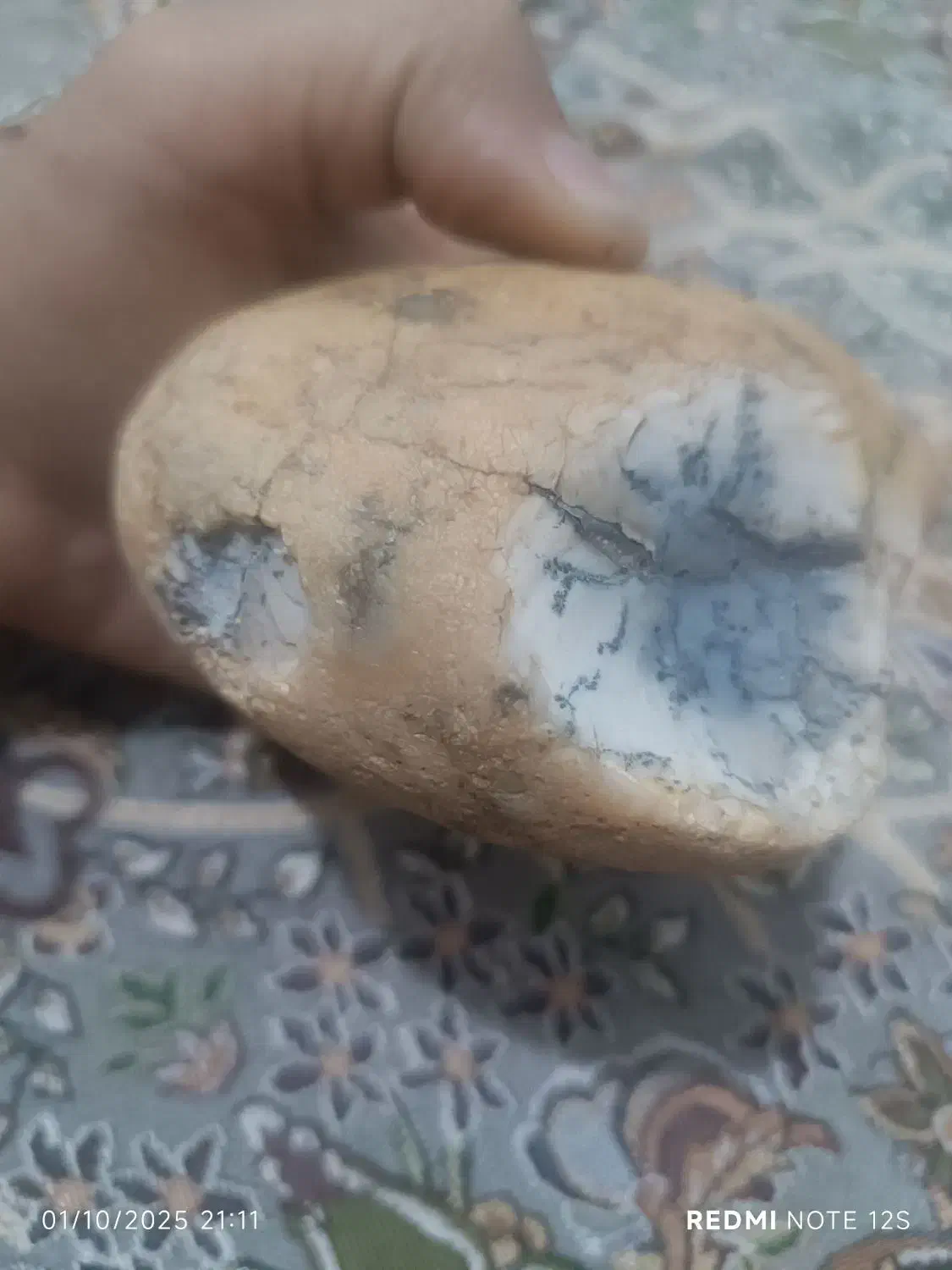 سنگ شجر اصل|جواهرات|شیراز, شریف‌آباد|دیوار