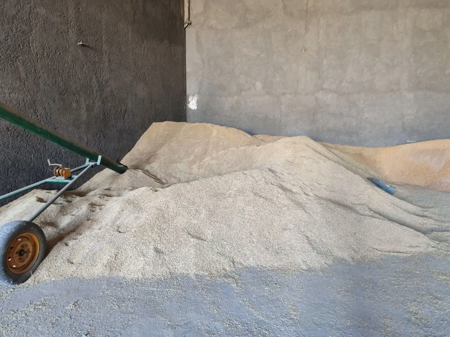 جو محلی ذرت روس|عمده‌فروشی|ساروق, |دیوار