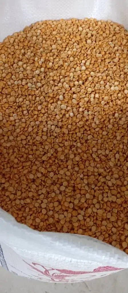 پخش حبوبات احمدی|خوردنی و آشامیدنی|رشت, شهرک قدس|دیوار