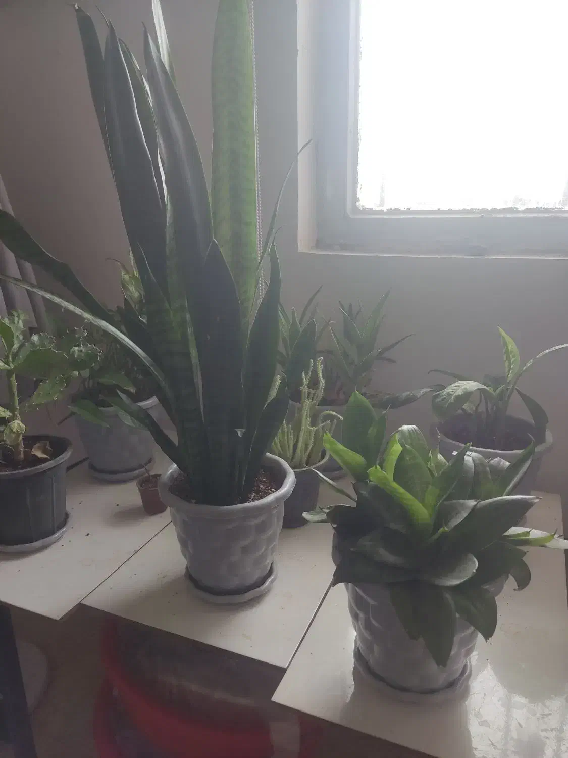 خانه 80متری برای اجاره در خیابان مطهری کوچه 2|فروش خانه و ویلا|پارس‌آباد, |دیوار