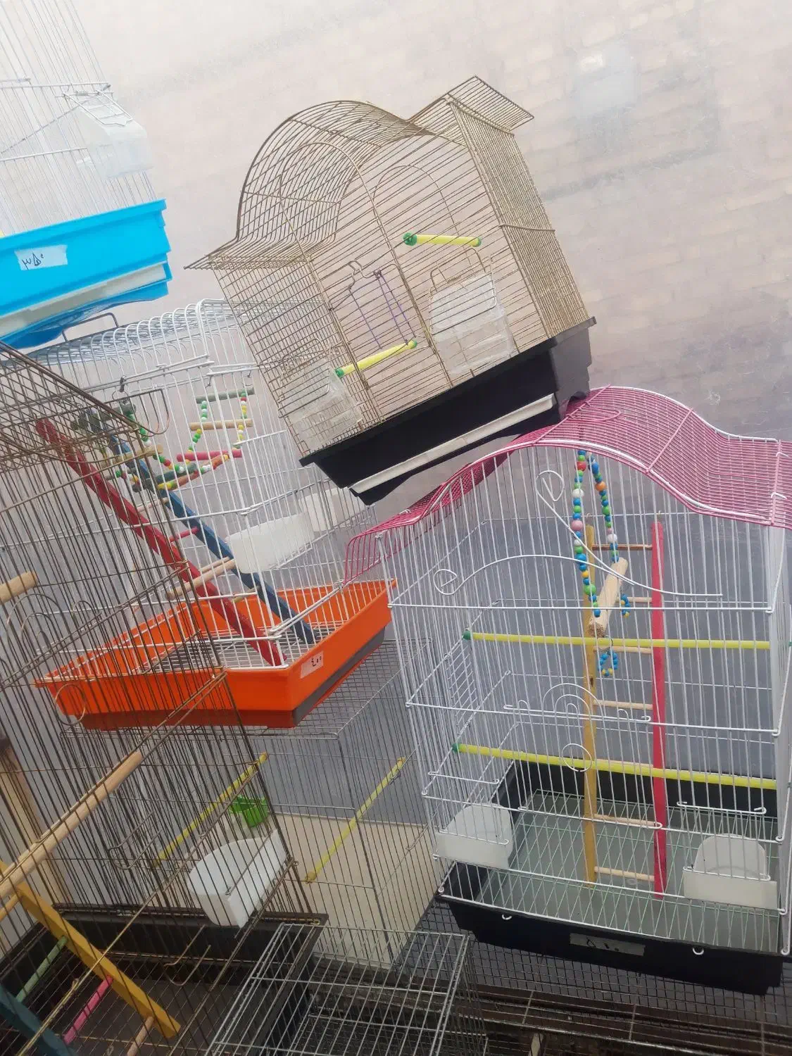 قفس های زینتی برای پرندگان زینتی|لوازم جانبی حیوانات|مرند, |دیوار