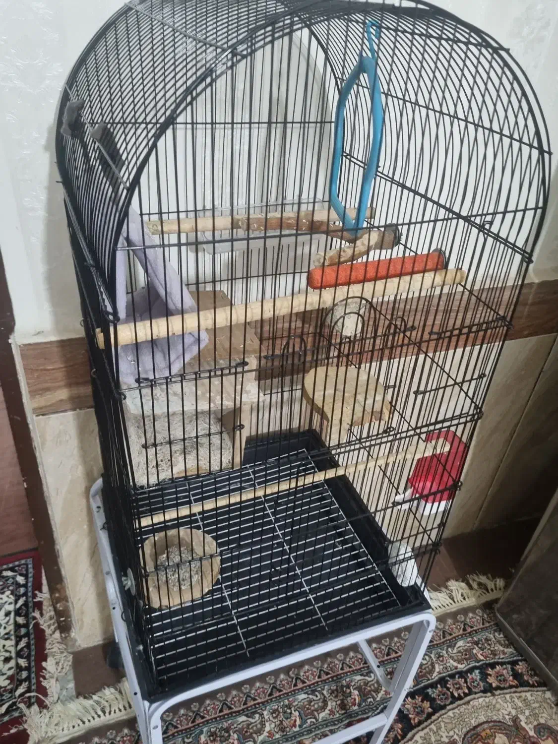 قفس برای فروشی عدد قفس پرنده استفاده نشده درجه یک|لوازم جانبی حیوانات|بندر امام خمینی, |دیوار