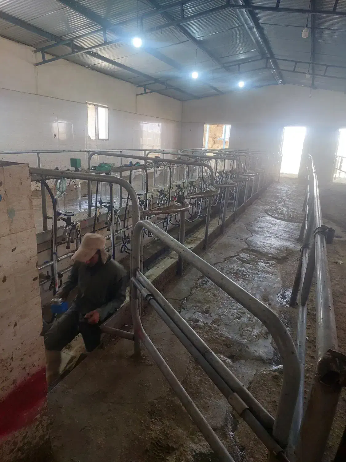 شیردوش گاو صنعتی|ماشین‌آلات صنعتی|اصفهان, شهرک صنعتی امیرکبیر (شاپور جدید)|دیوار