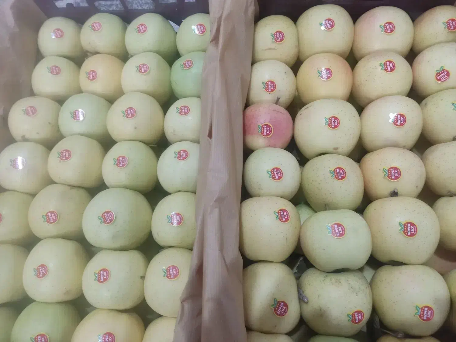 سیب درجه یک پول نقد|خوردنی و آشامیدنی|اهر, |دیوار