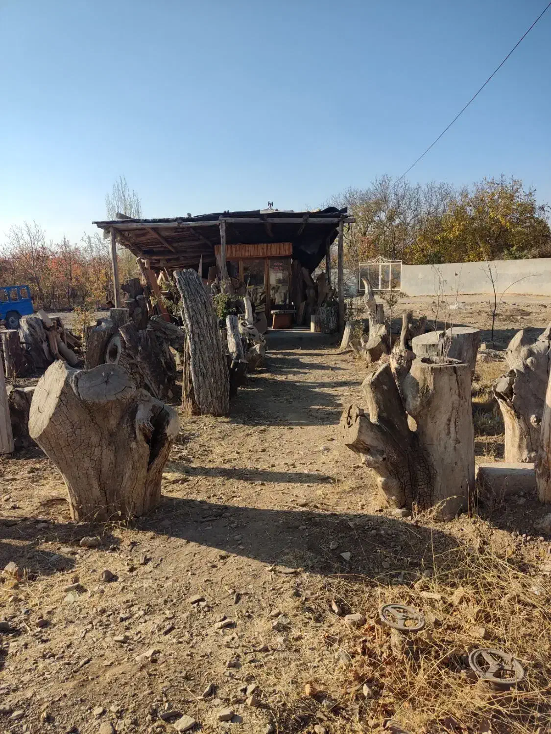 خرید و فروش انواع چوب|خدمات باغبانی و درختکاری|دماوند, دماوند|دیوار