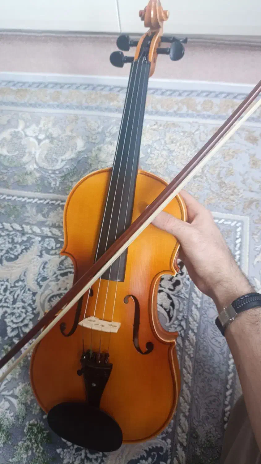 ویولن|ویولن|سنندج, |دیوار