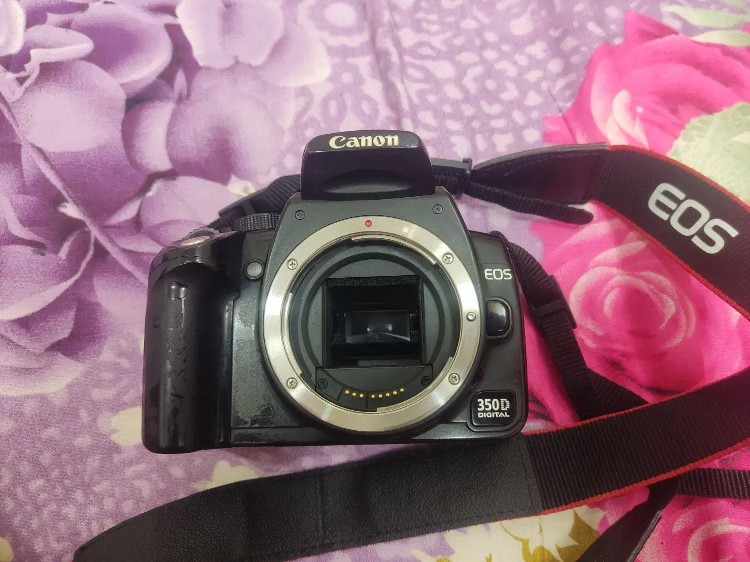 دوربین عکاسی|دوربین عکاسی و فیلم‌برداری|قم, پردیسان|دیوار