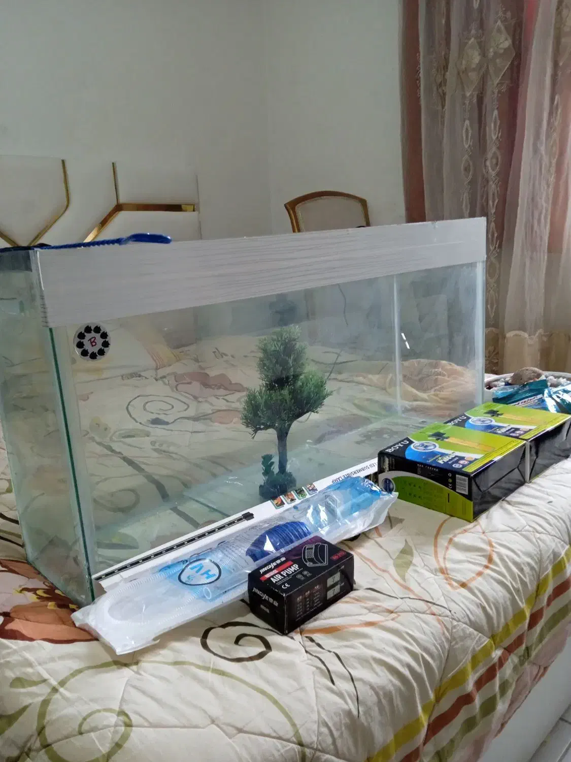 آکواریوم|ماهی|پرند, فاز ۶|دیوار