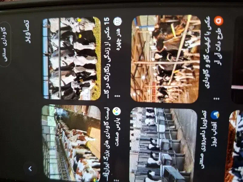 کارگر گاوداری|استخدام سرایداری و نظافت|باخزر, |دیوار