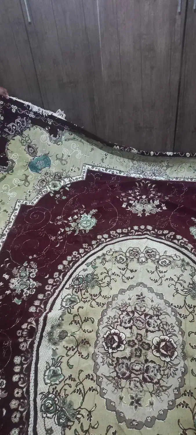 فروش یک تخته فرش|فرش|مرودشت, محمد آباد|دیوار