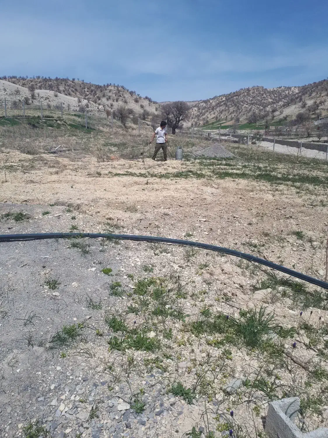 مرغداری ۱۰هزار قطعه ای واقعدرجاده ملکشاهی|فروش دفتر صنعتی، کشاورزی، تجاری|گچی, |دیوار