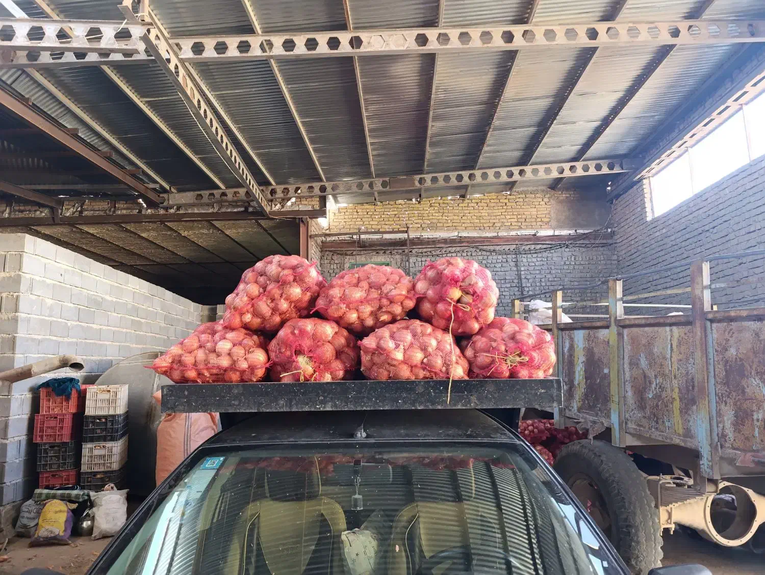 پیاز فلات تور زده شده|خوردنی و آشامیدنی|مشهد, مقدم|دیوار