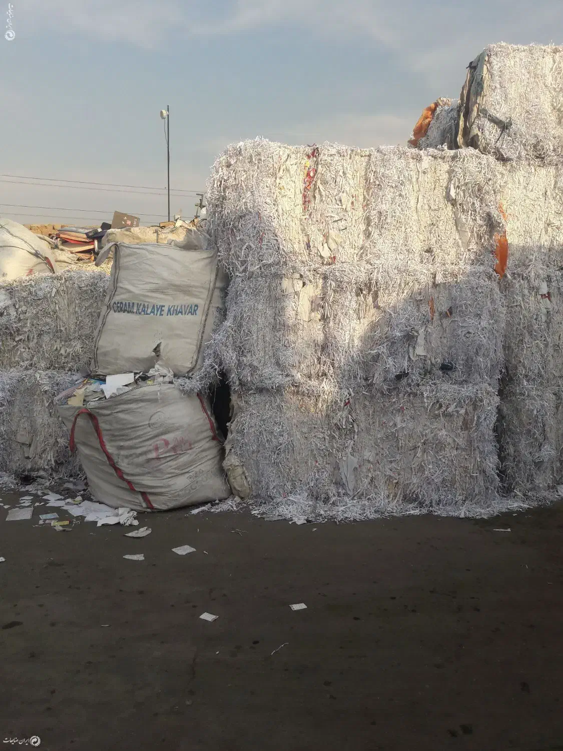 پوشال میوه|عمدهفروشی|کندوان, |دیوار