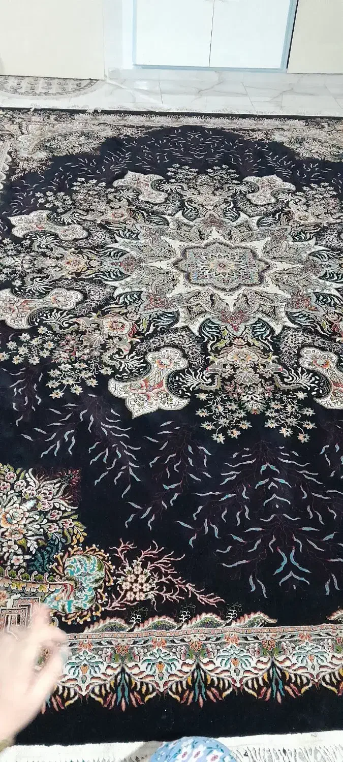 فرش ۹متری ۷۰۰شانه|فرش|قزوین, |دیوار