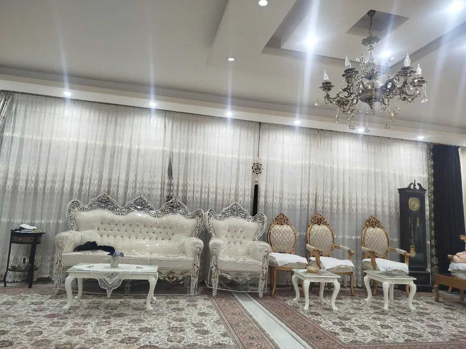 پرده جدید|پرده، رانر، رومیزی|تربتحیدریه, پائین ولایت|دیوار