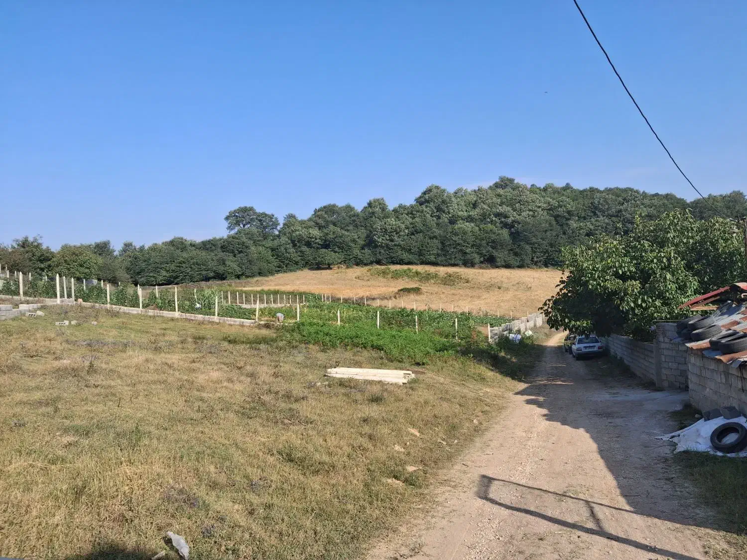 زمین فروشی در ساری،دودانگه،منطقه فریم|فروش زمین و ملک کلنگی|فریم, |دیوار