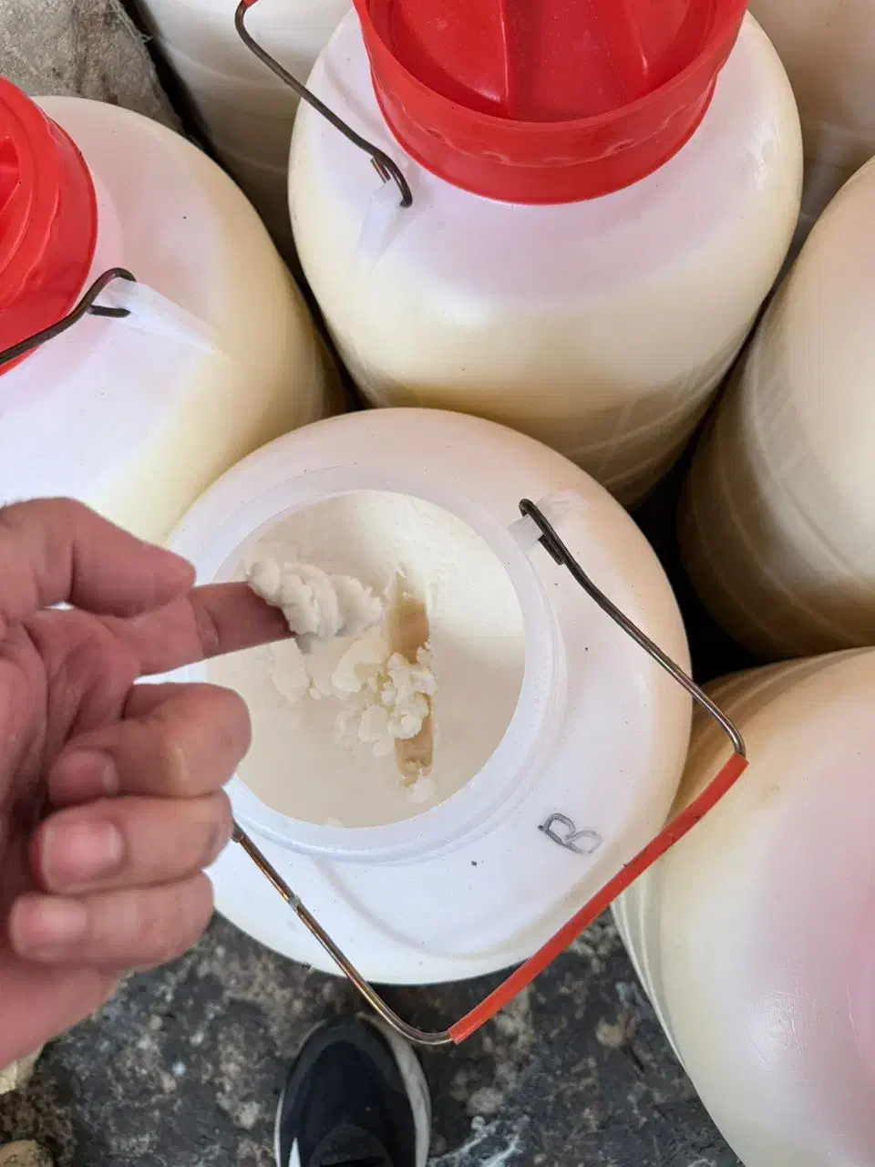 روغن|خوردنی و آشامیدنی|بانه, |دیوار