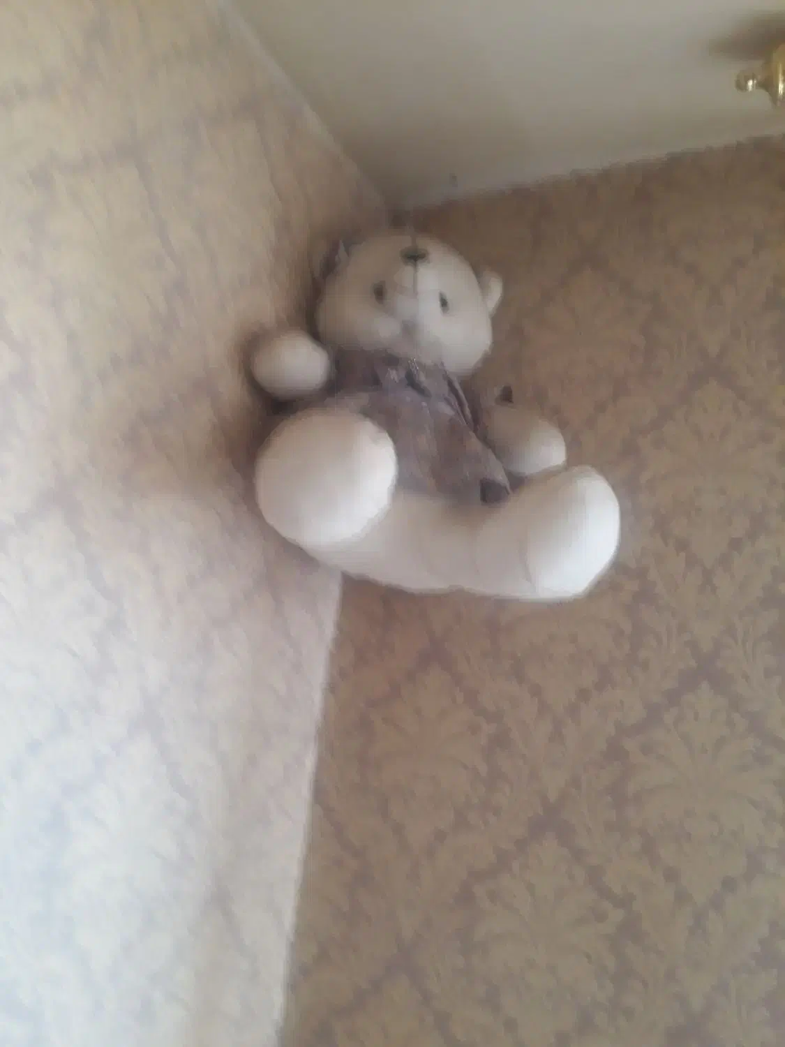 یک عدد عروسک خرس|اسباب‌بازی بچه|مشهد, هنرور|دیوار