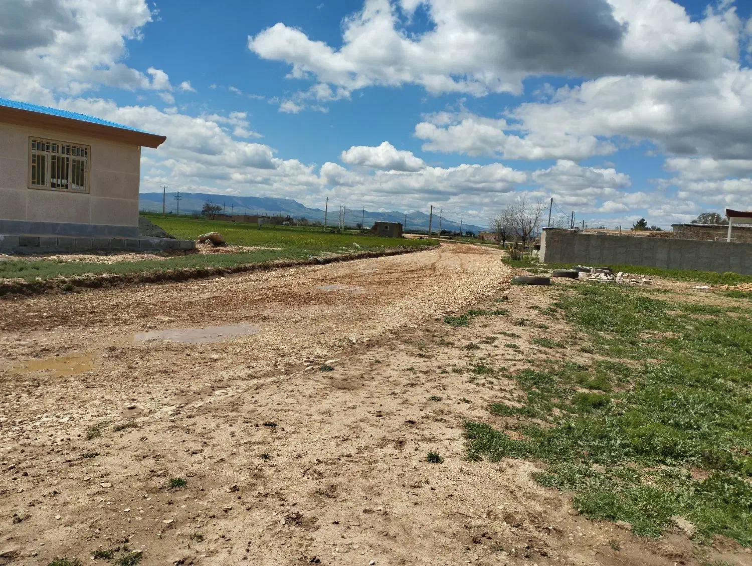 خرید فروش زمین کشاورزی خانه باغ ماهیدشت|فروش زمین و ملک کلنگی|ماهیدشت, |دیوار