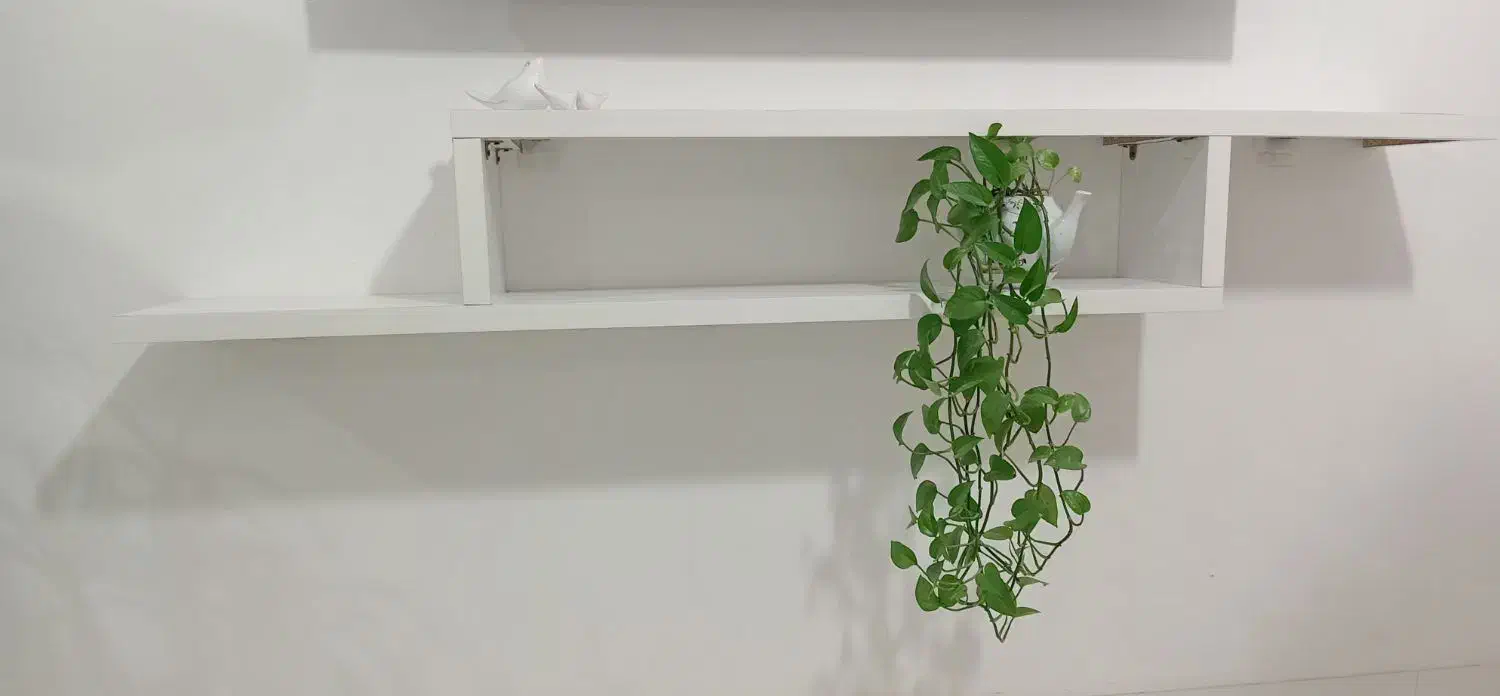 میزتلویزیون شیک وزیبا|میز تلویزیون|فیروزه, |دیوار