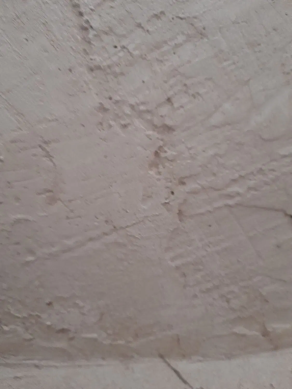 گچ حسینی ،شرفخانی|مصالح و تجهیزات ساختمان|پلدشت, |دیوار