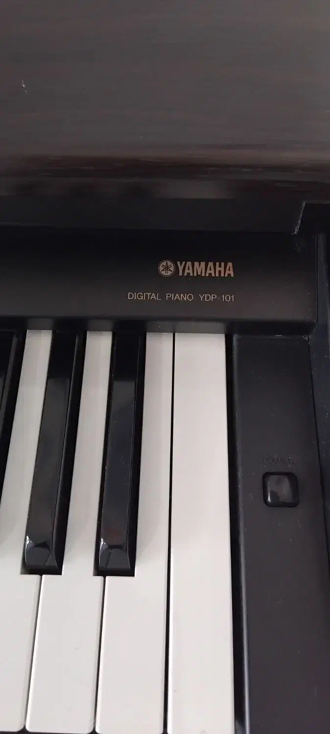 پیانو دیجیتال یاماها|پیانو، کیبورد، آکاردئون|اسلام‌شهر, شهرک سعیدیه|دیوار