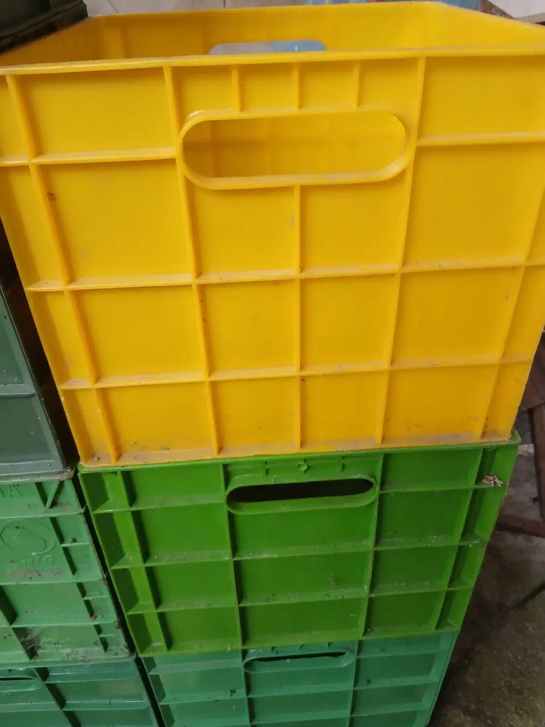 سبد محکم در حد نو|ظروف نگهدارنده، پلاستیکی، یک‌بارمصرف|رشت, شهرک قدس|دیوار