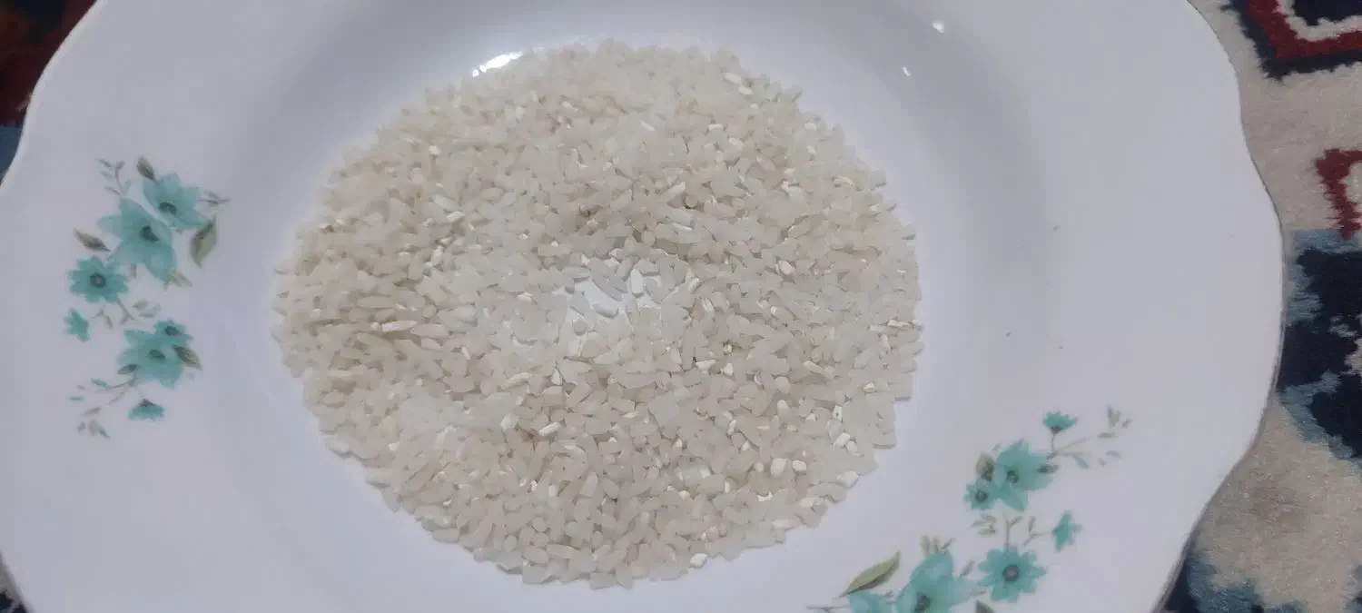 برنج بی نام|خوردنی و آشامیدنی|کردکوی, |دیوار