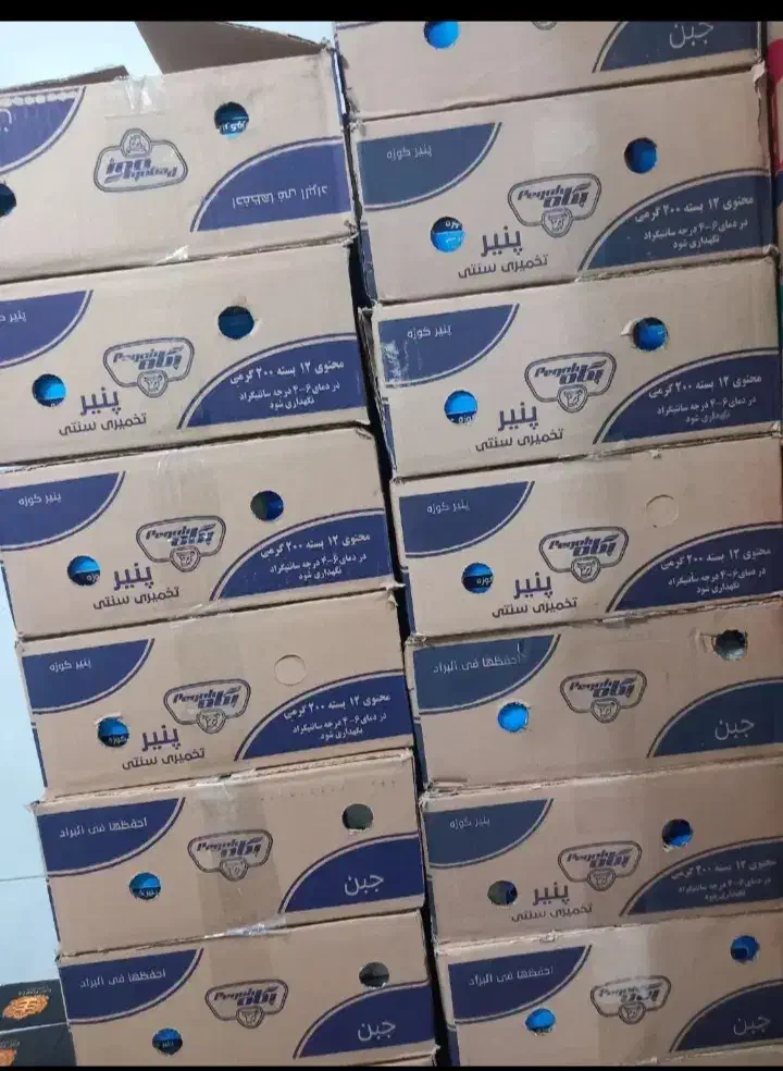 پنیر|حراج|مرند, |دیوار