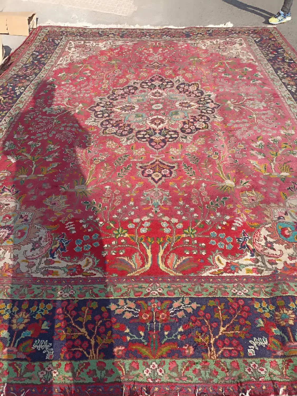 12 متری بافت تبریز نقشه درختی فرش تجاری|فرش|تهران, آرژانتین|دیوار