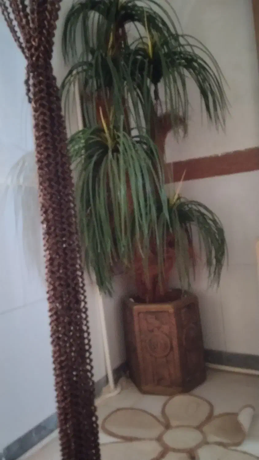 vasile|جاکفشی، کمد، دراور|کرج, خرمدشت|دیوار