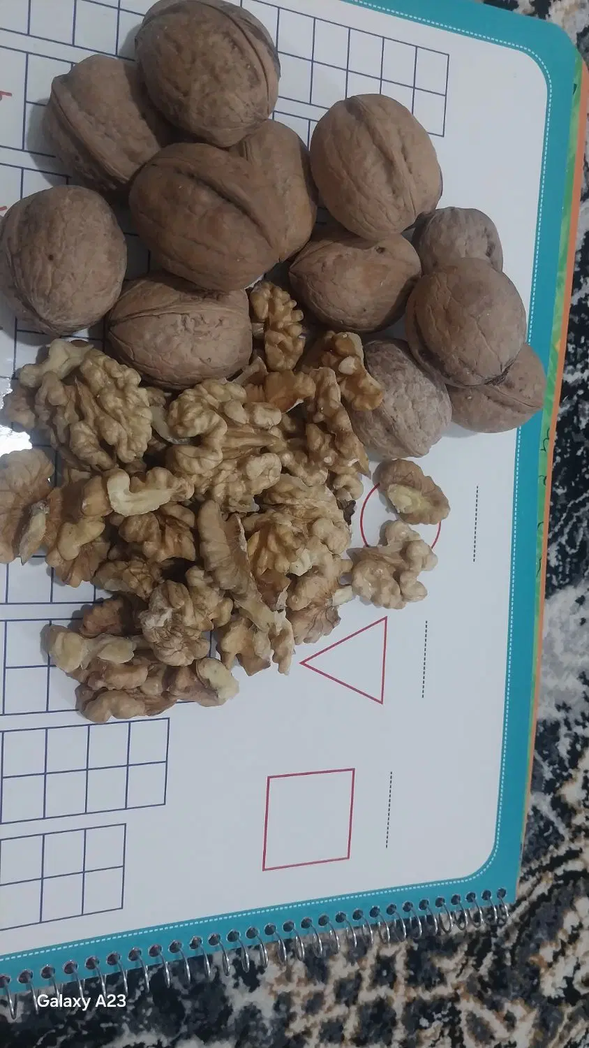 گردو|خوردنی و آشامیدنی|محلات, |دیوار