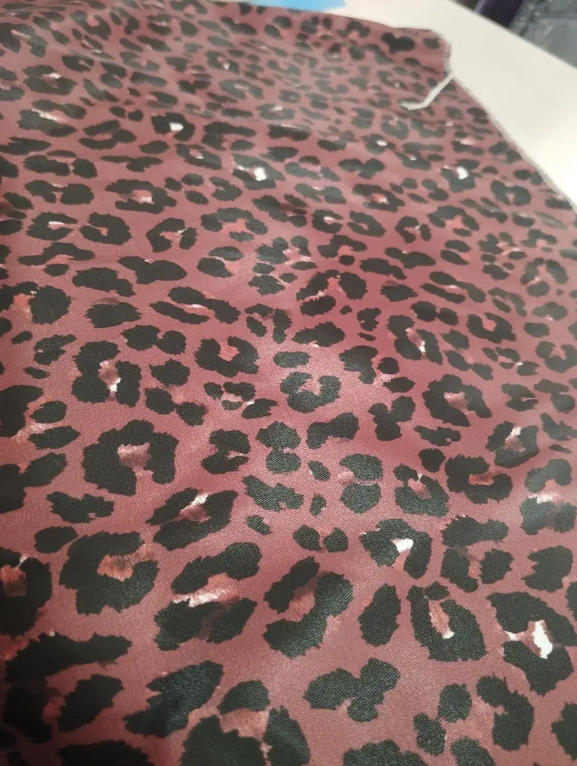 تاپ شلوارک|لباس|مشهد, طلاب|دیوار