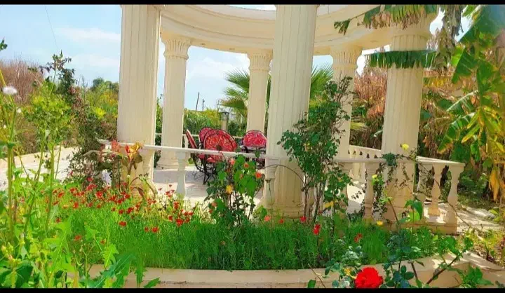 فردش باغ ویلای لاکچری دزفول|فروش خانه و ویلا|اهواز, کوی نیرو|دیوار