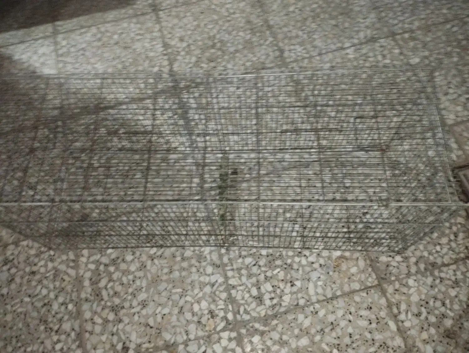 قفس جوجه و پرنده|لوازم جانبی حیوانات|شاهین‌شهر, شهرک هشت بهشت|دیوار