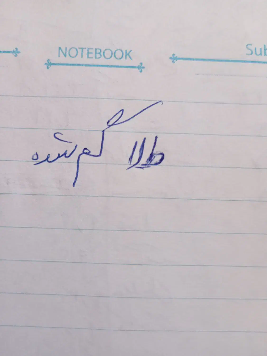 طلا گمشده|جواهرات|قدس, شهرقدس|دیوار