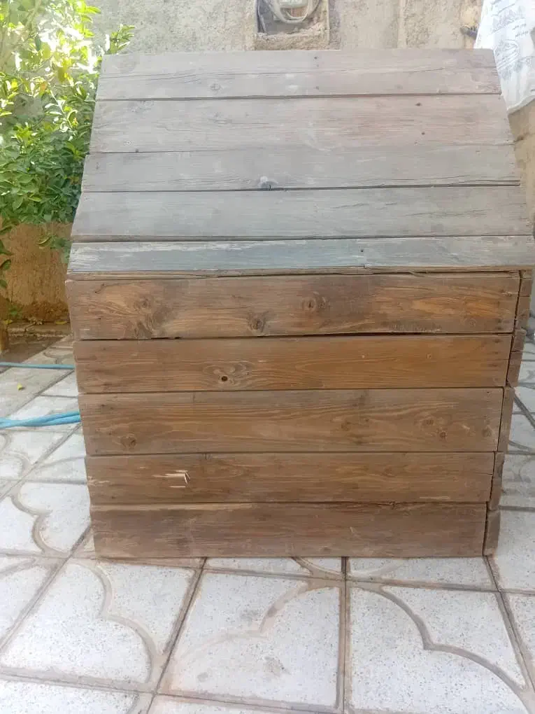 کلبه سگ|لوازم جانبی حیوانات|مرودشت, ژیان|دیوار